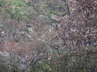 cantara piccole gole19022012 065